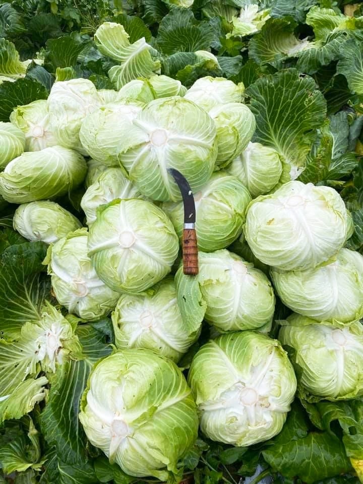 支持偏鄉小農